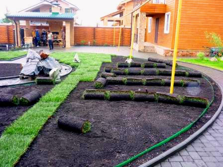 Після таких якісно проведених робіт можна вільно засаджувати газон будь-якого типу